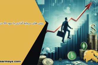 روش های سرمایه گذاری با سود 50 درصد